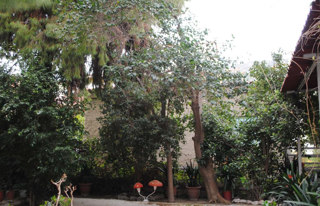 Pension Alkistis Tolón Esterno foto